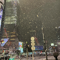 画像772