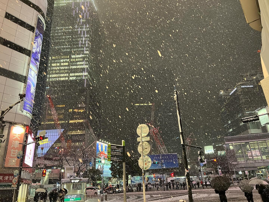 画像772
